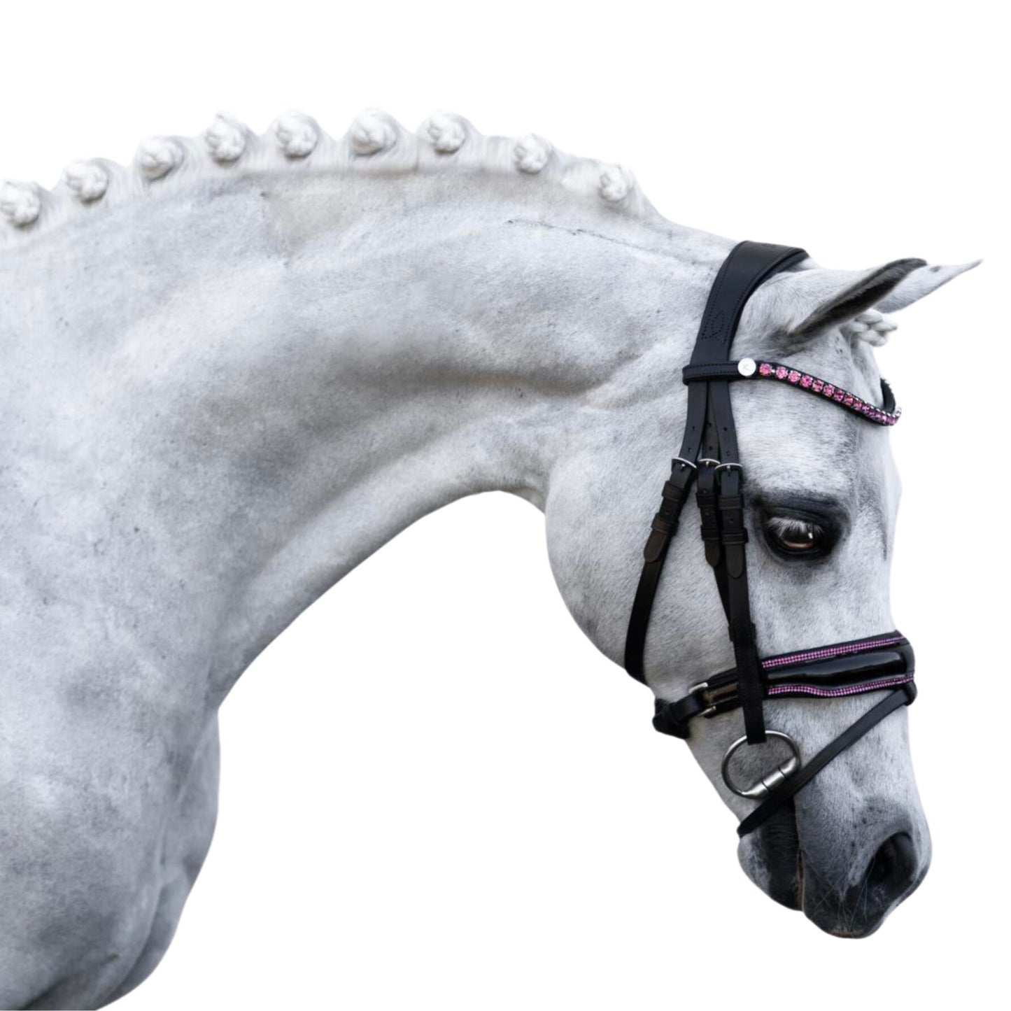 Lumi Pony Fairyfloss Bridle