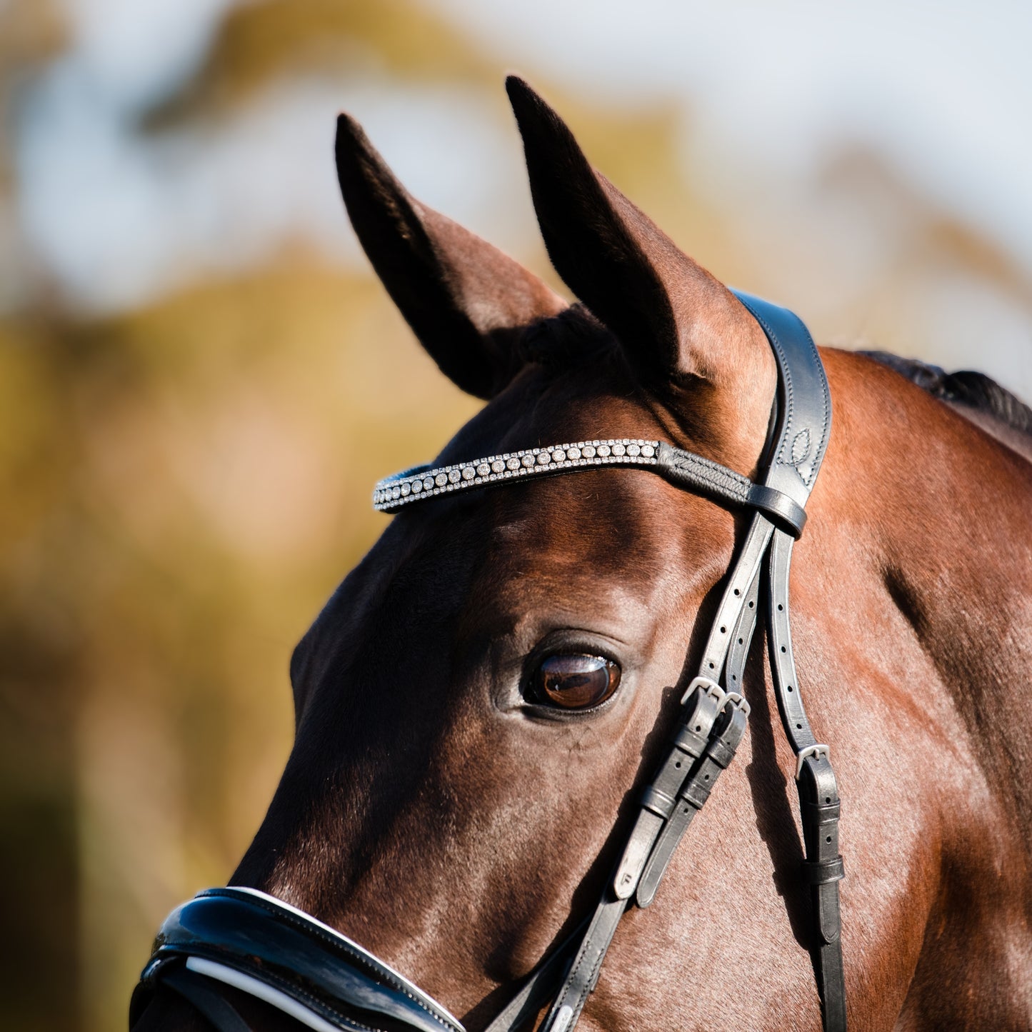 Lumiere Adeline Hanovarian Bridle