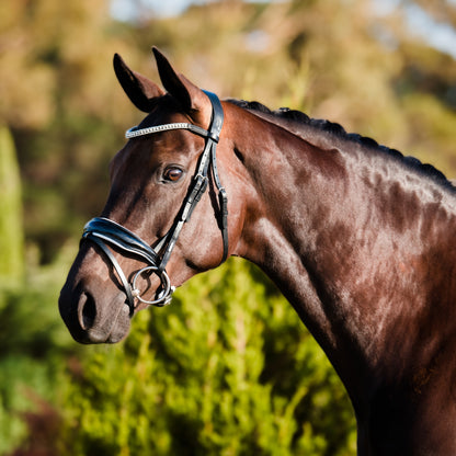 Lumiere Adeline Hanovarian Bridle