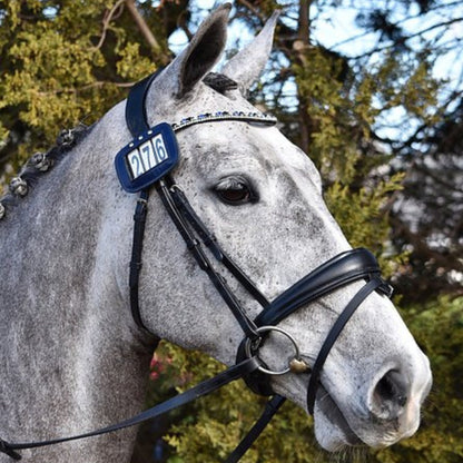 Lumiere Anastasia Convertible Bridle