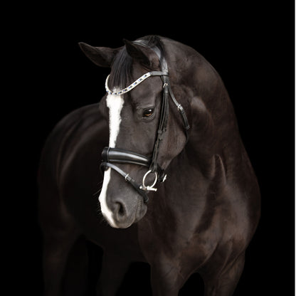 Lumiere Anastasia Convertible Bridle