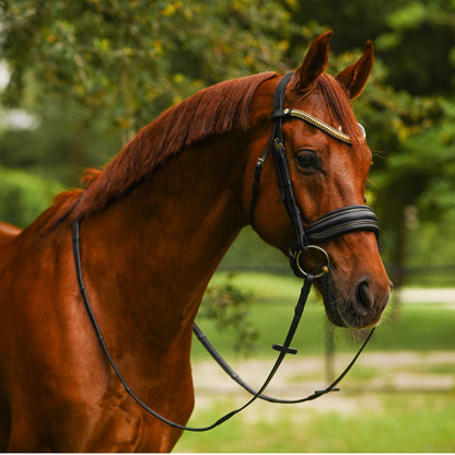 Lumiere Delta Cavesson Bridle