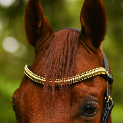 Lumiere Delta Cavesson Bridle