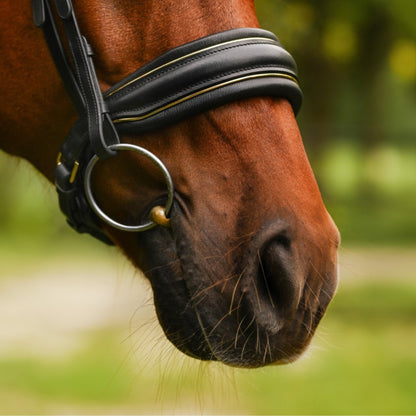 Lumiere Delta Cavesson Bridle