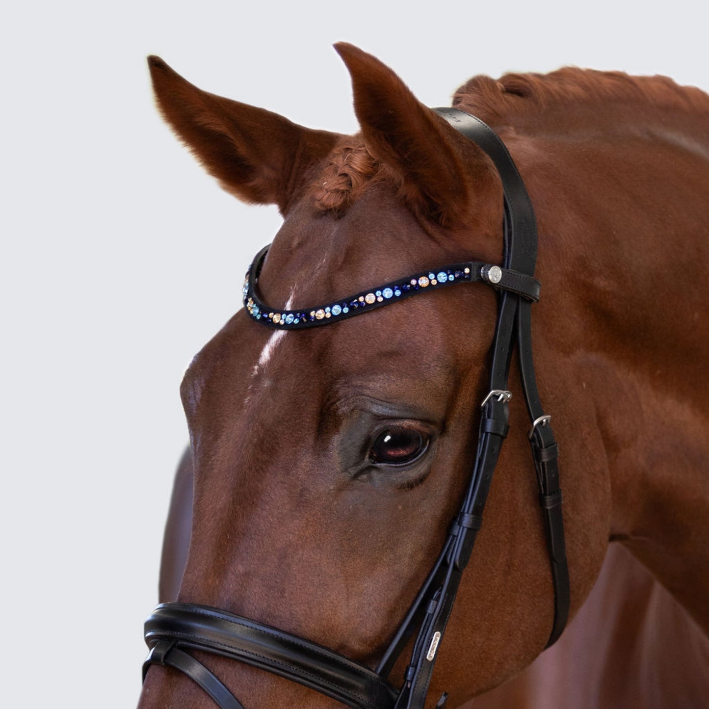 Lumi Pony Demi Hanoverian Bridle