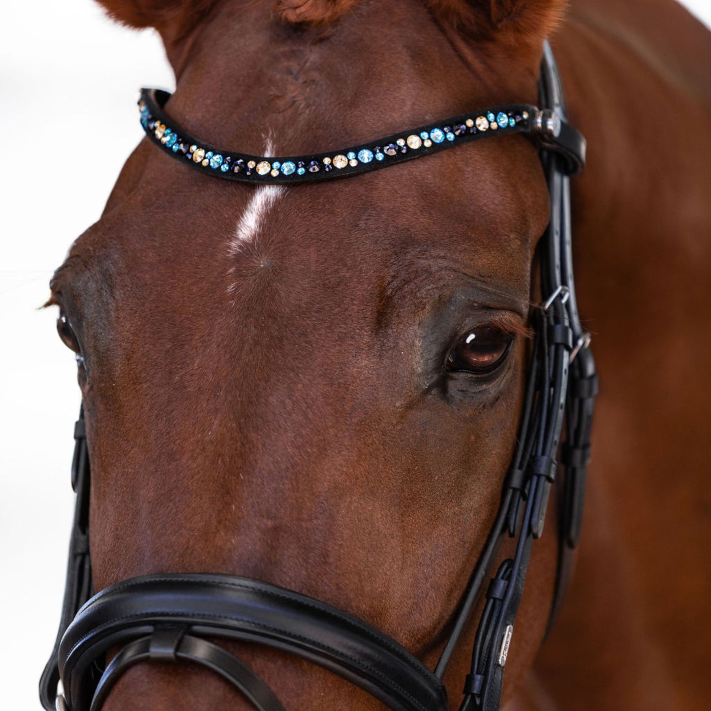 Lumi Pony Demi Hanoverian Bridle