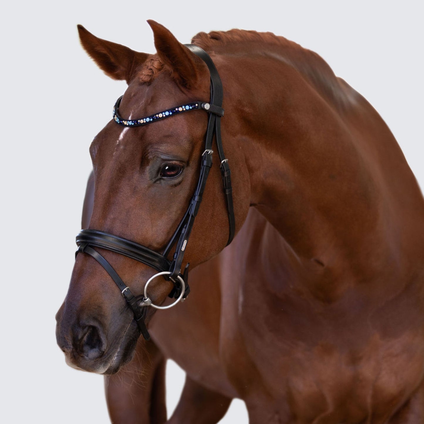 Lumi Pony Demi Hanoverian Bridle