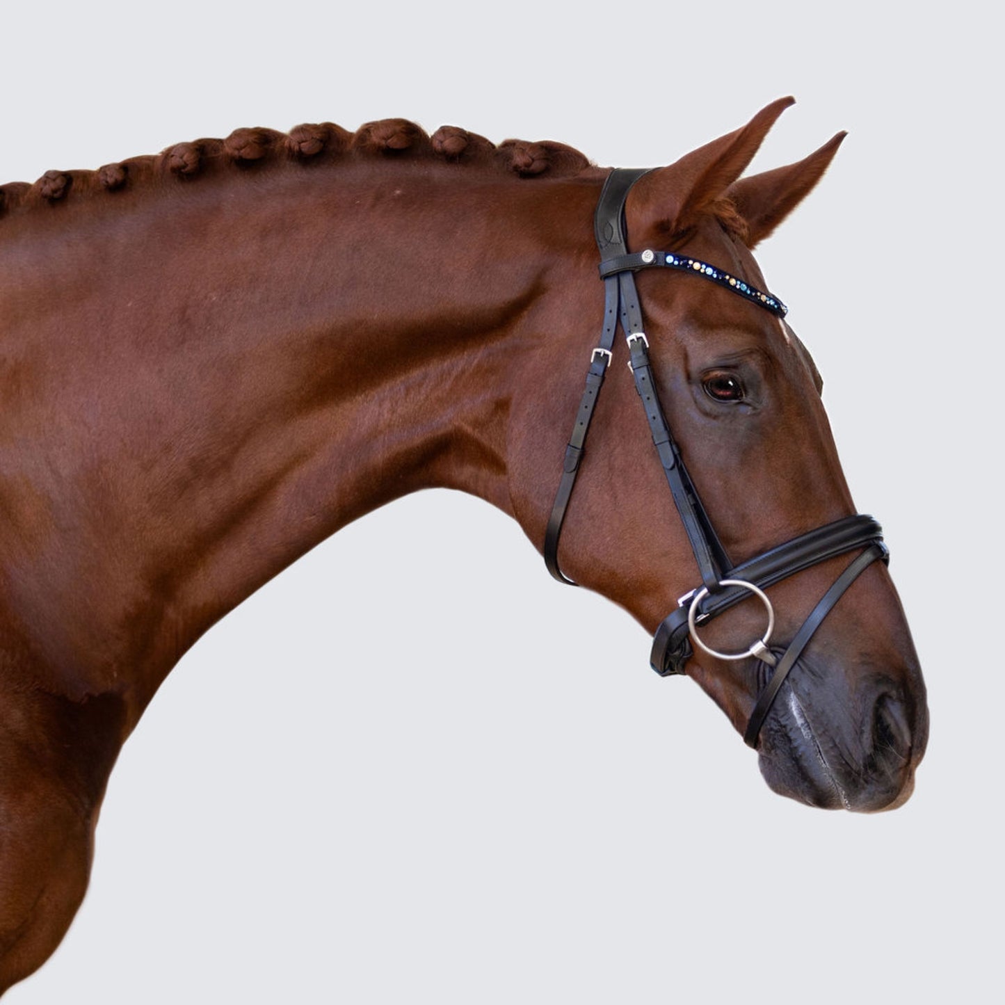 Lumi Pony Demi Hanoverian Bridle