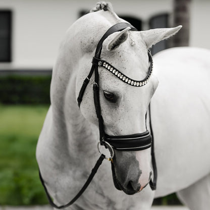 Lumi Pony Diva Cavesson Bridle