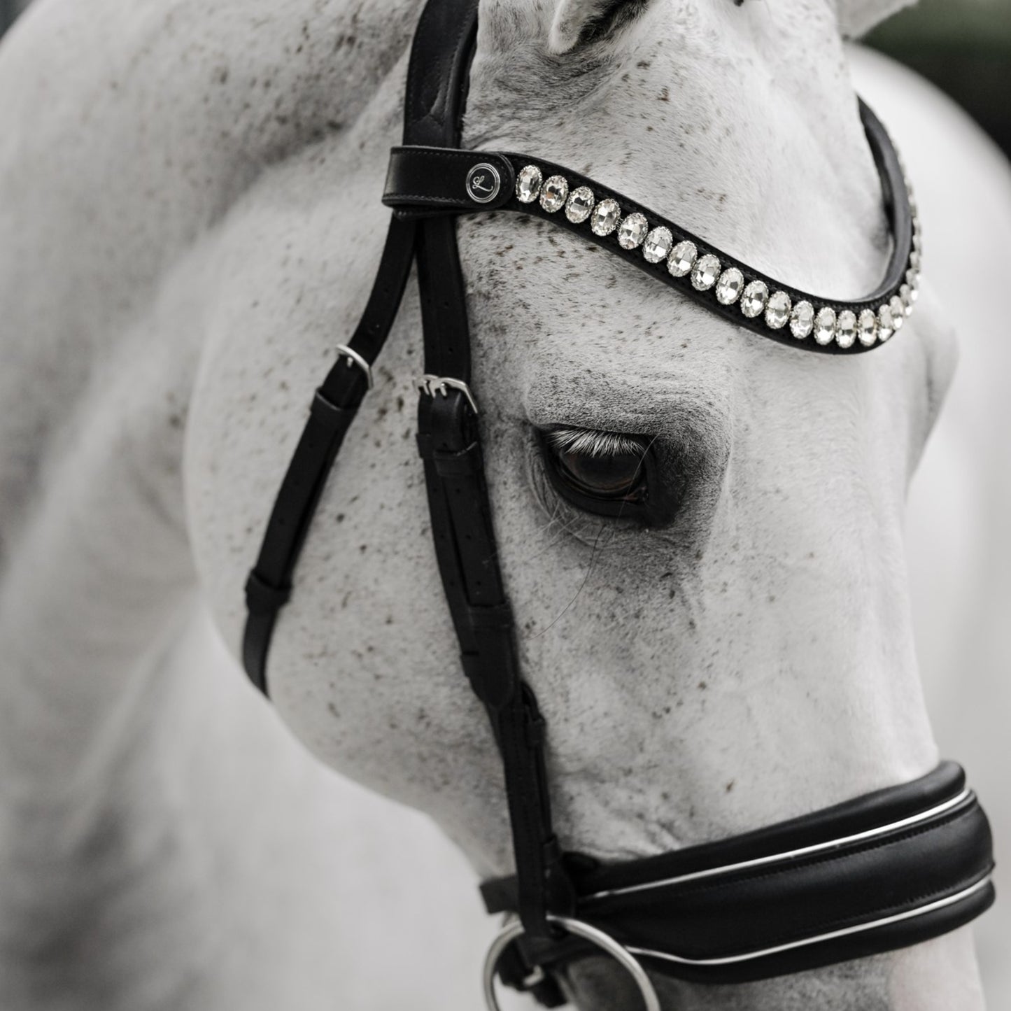 Lumi Pony Diva Cavesson Bridle