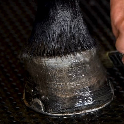 NRG Stride Hoof Dressing