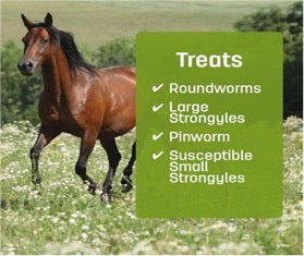 Nature Vet Ammo Rotational Wormer