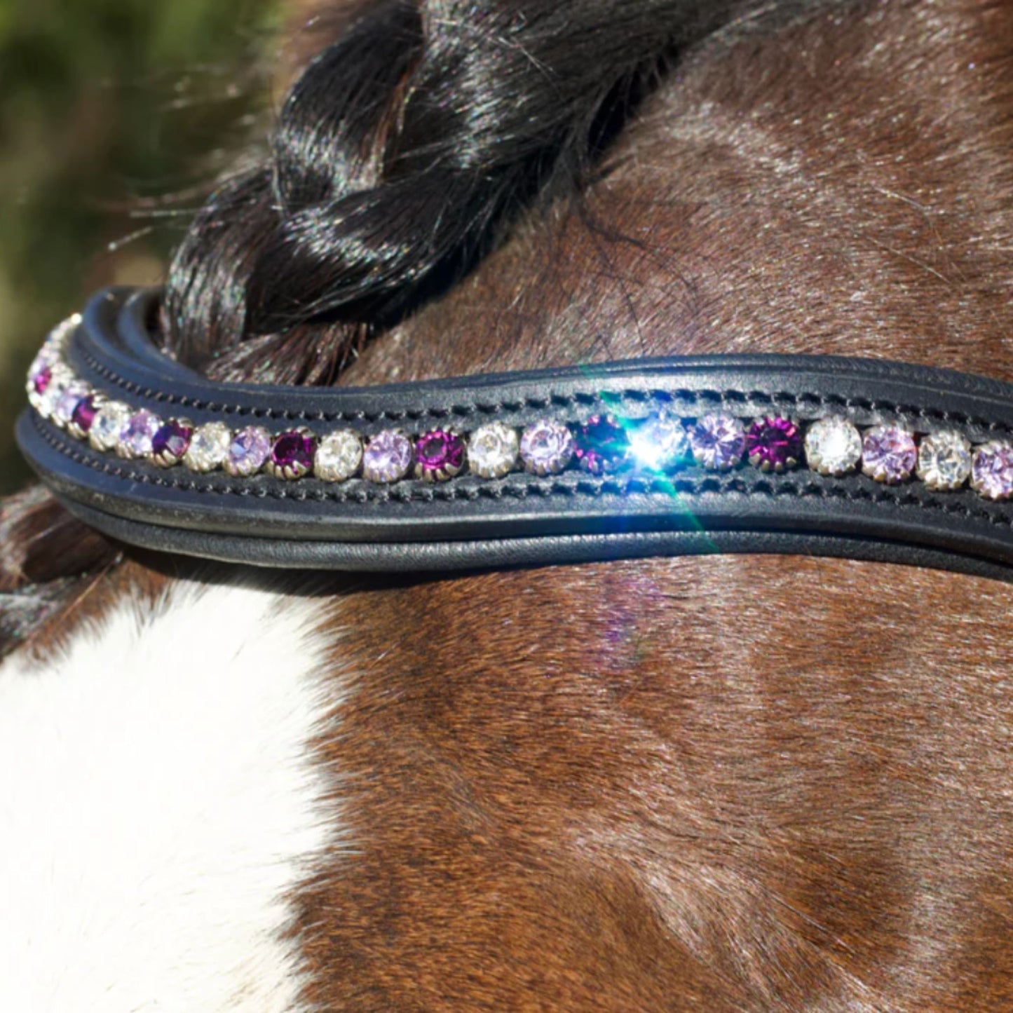 Saddle Co Browband