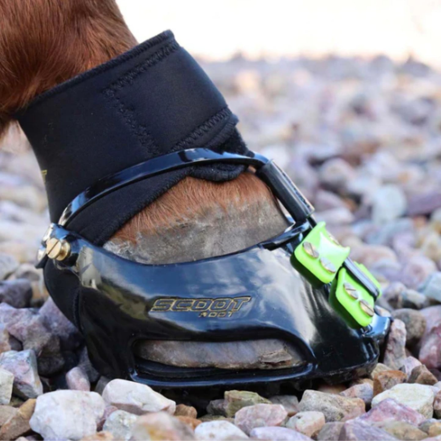 Scoot Boots Endurance Gaiters