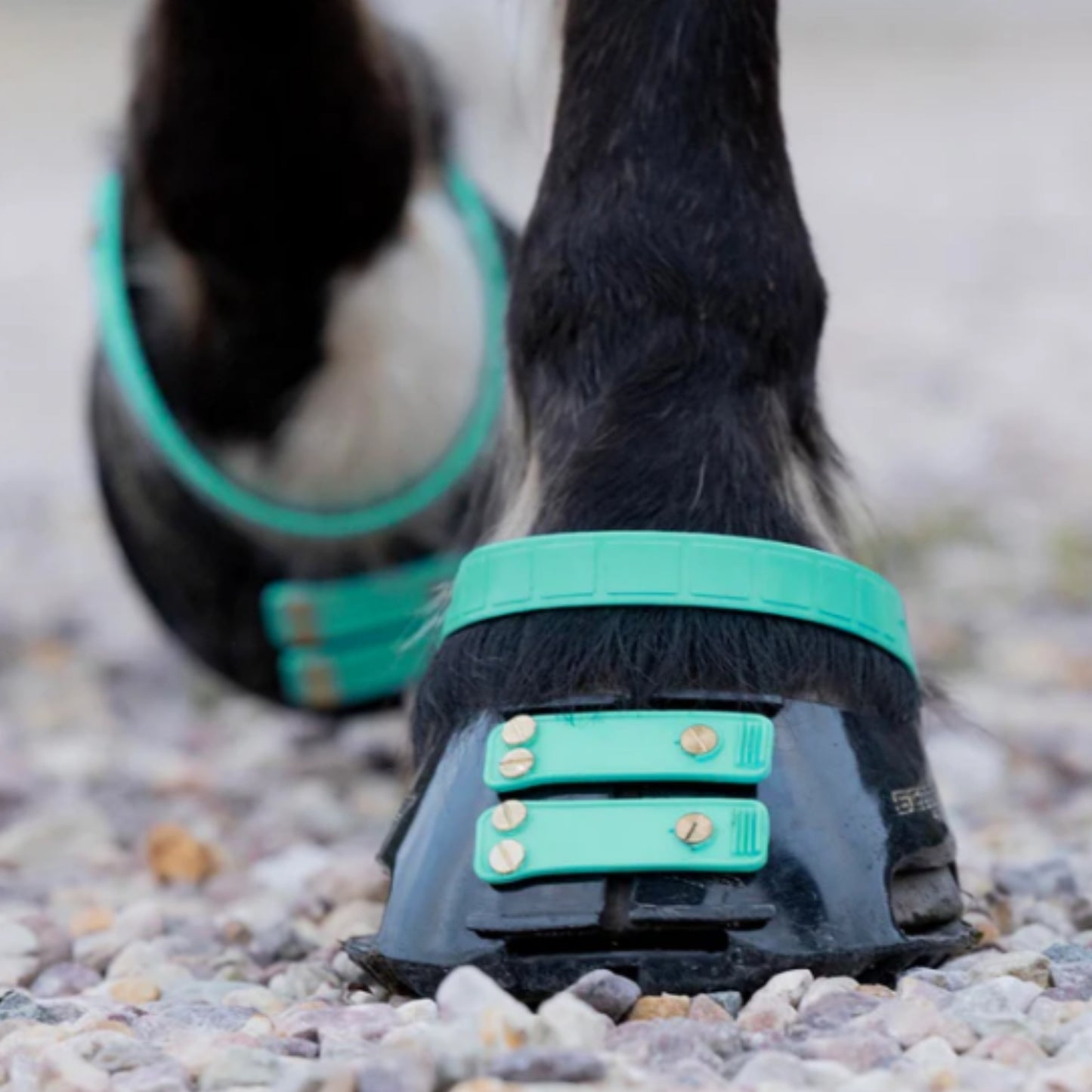 Scoot Boots Pastern Straps