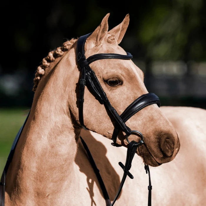 Lumi Pony Mikayla Convertible Bridle