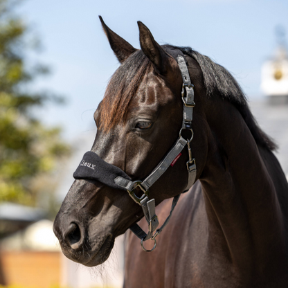 LeMieux Vogue Headcollar & Leadrope