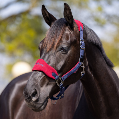 LeMieux Vogue Headcollar & Leadrope