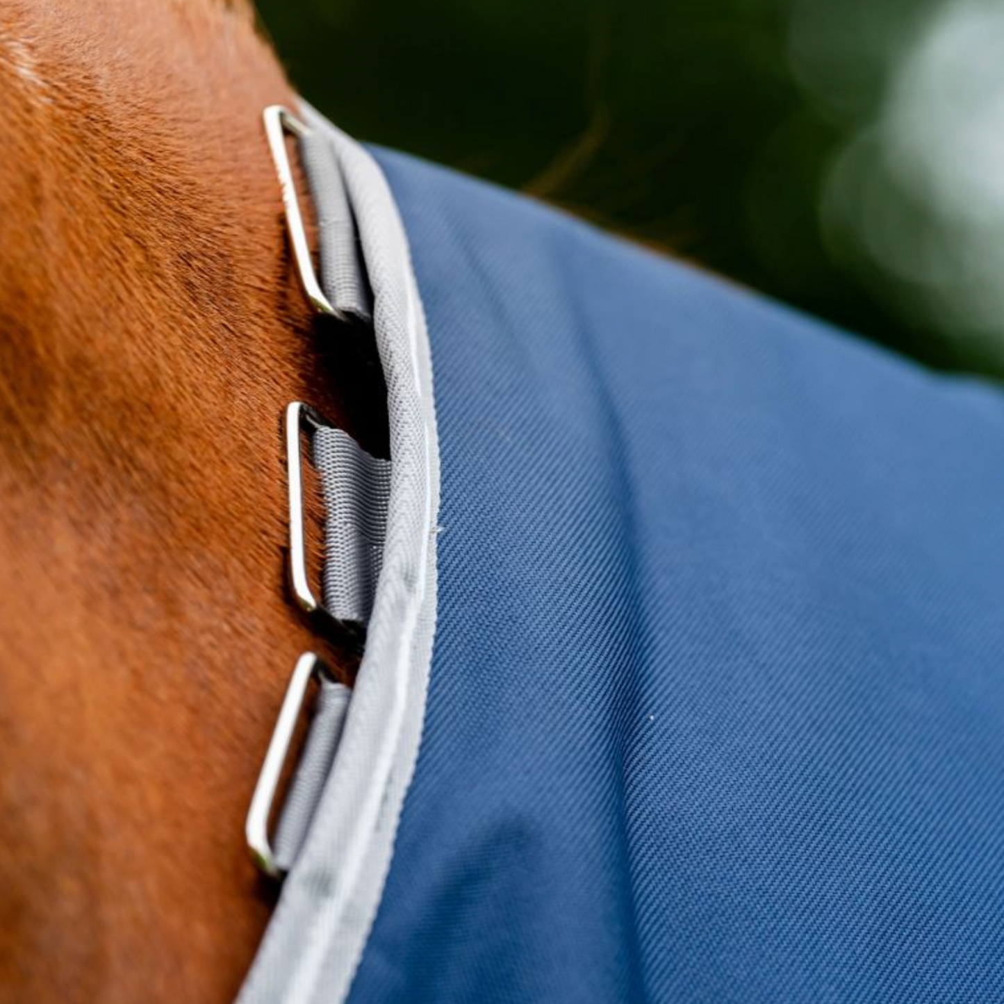 Horseware Amigo Bravo 12 Plus 0g Rug