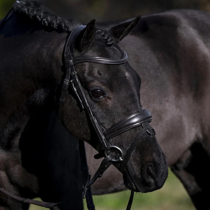 Lumi Pony Mikayla Convertible Bridle