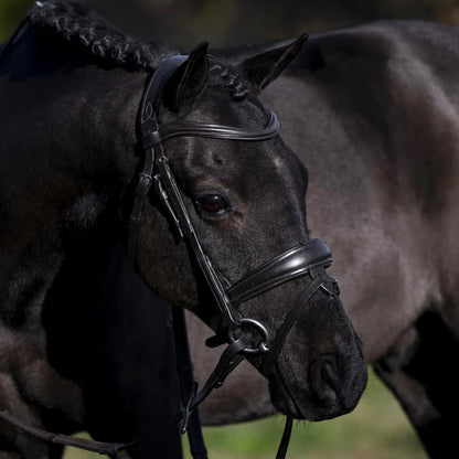 Lumi Pony Mikayla Convertible Bridle