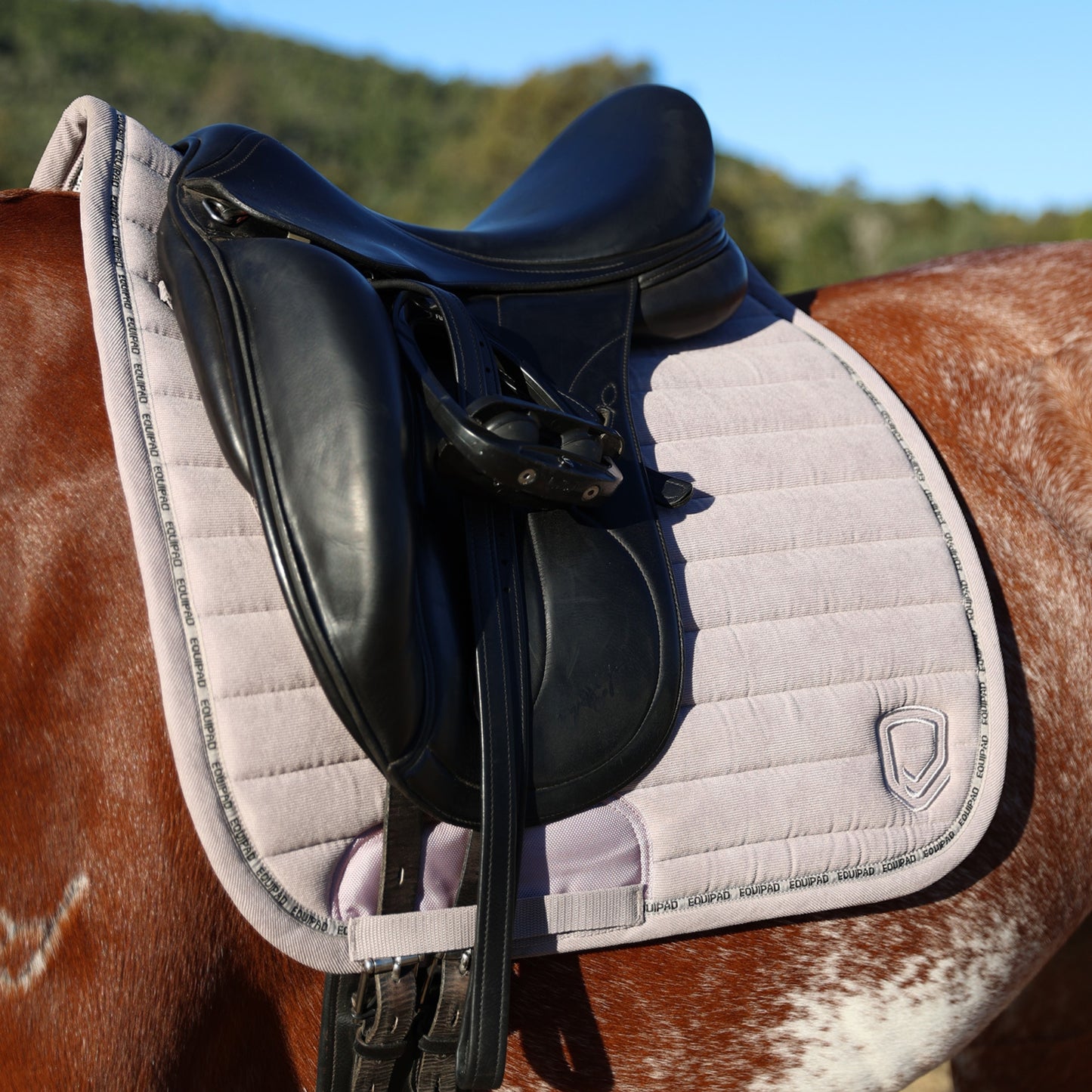 Equipad Corduroy Dressage Saddle Pad