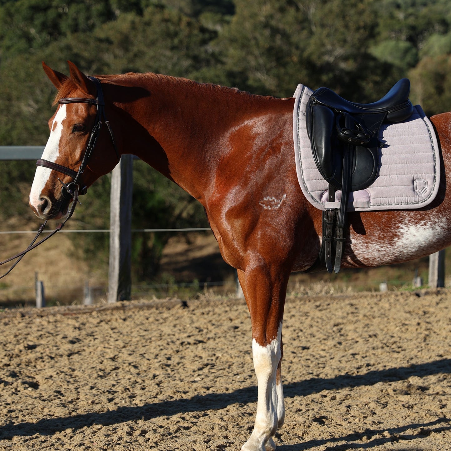 Equipad Corduroy Dressage Saddle Pad