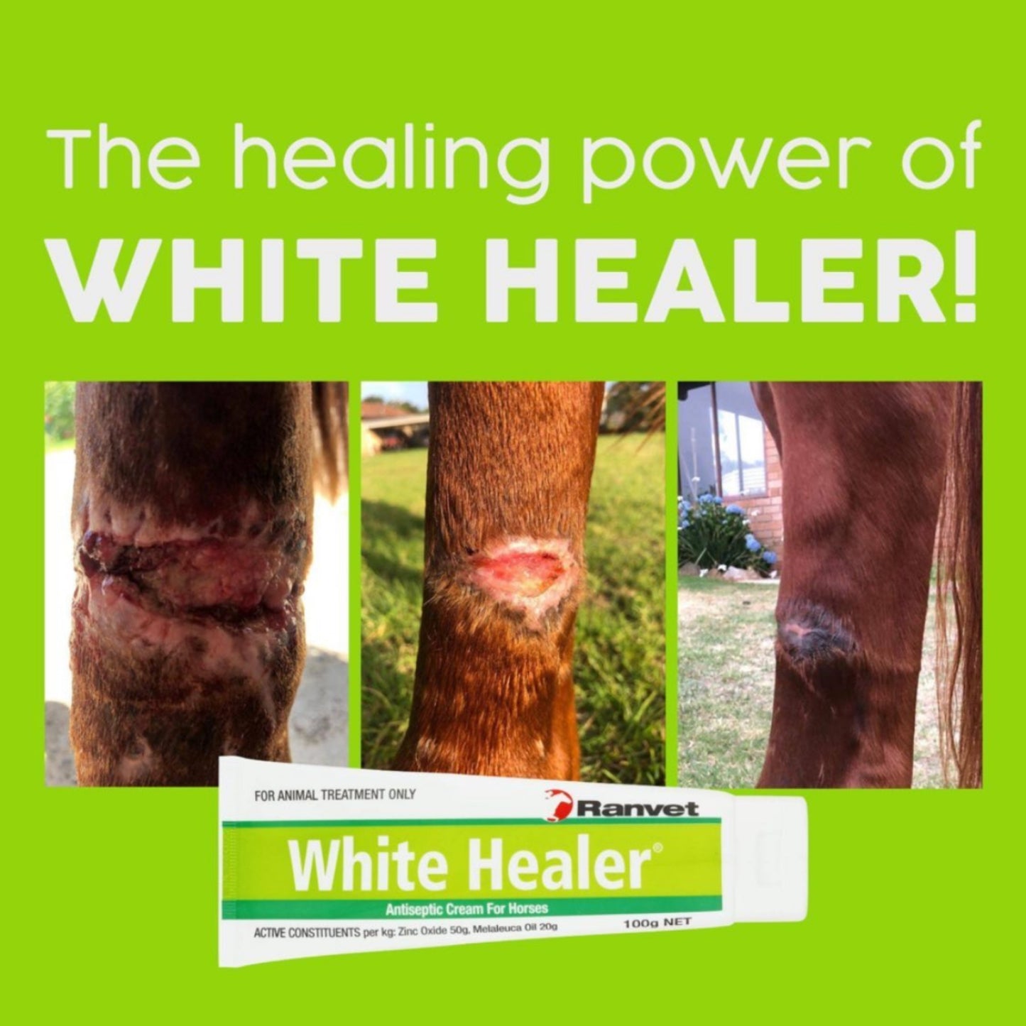 Ranvet White Healer