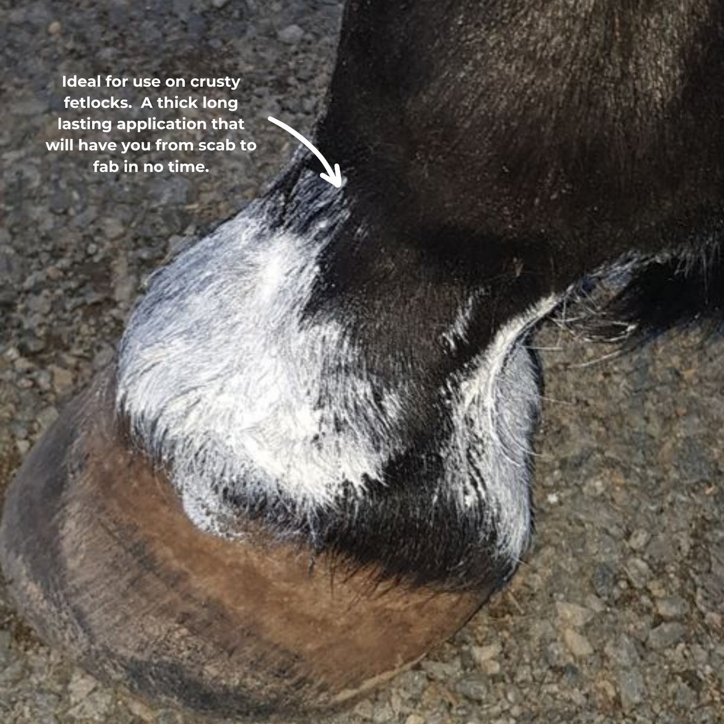 The Hoof Co Zinc Putty