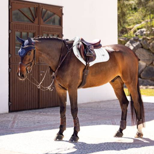 LeMieux Loire Memory Square Satin Close Contact Saddle Pad