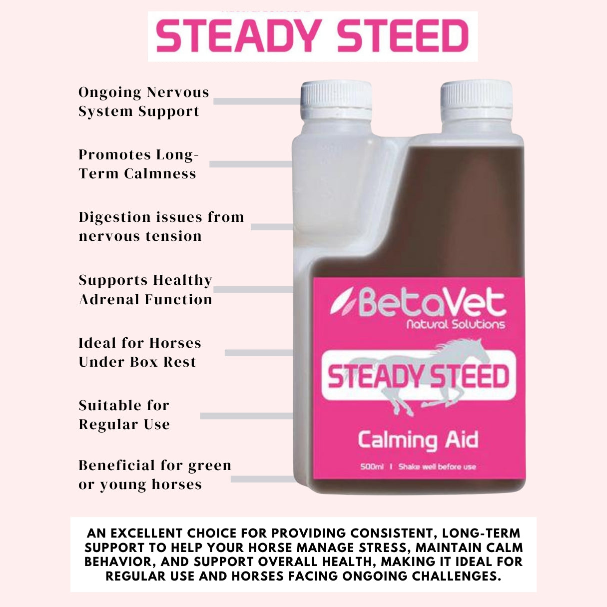 BetaVet Steady Steed