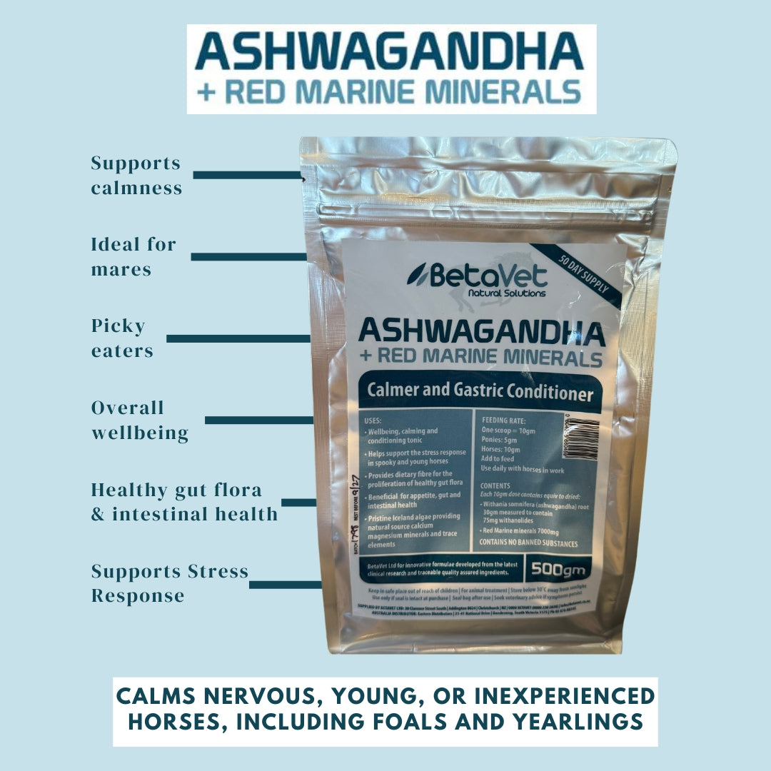 BetaVet Ashwagandha