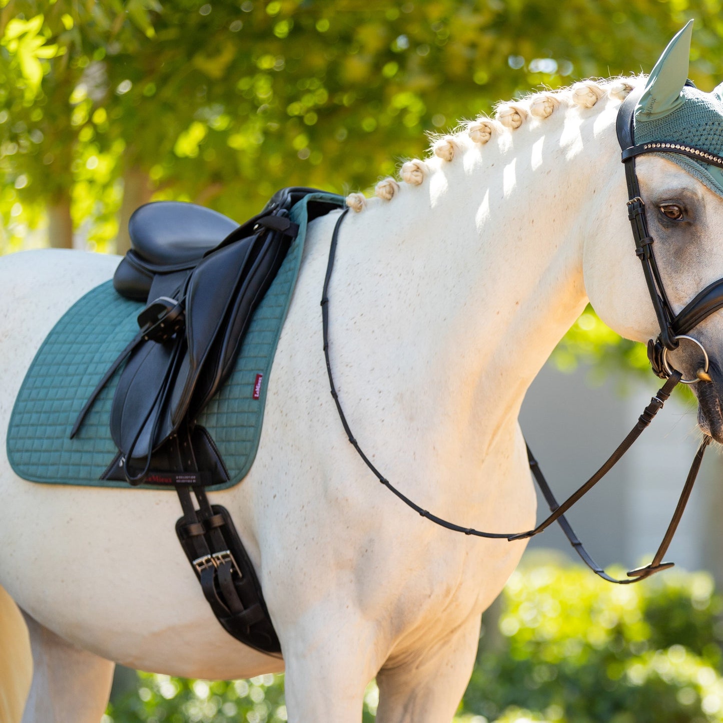 LeMieux Suede Square Dressage Saddle Pad