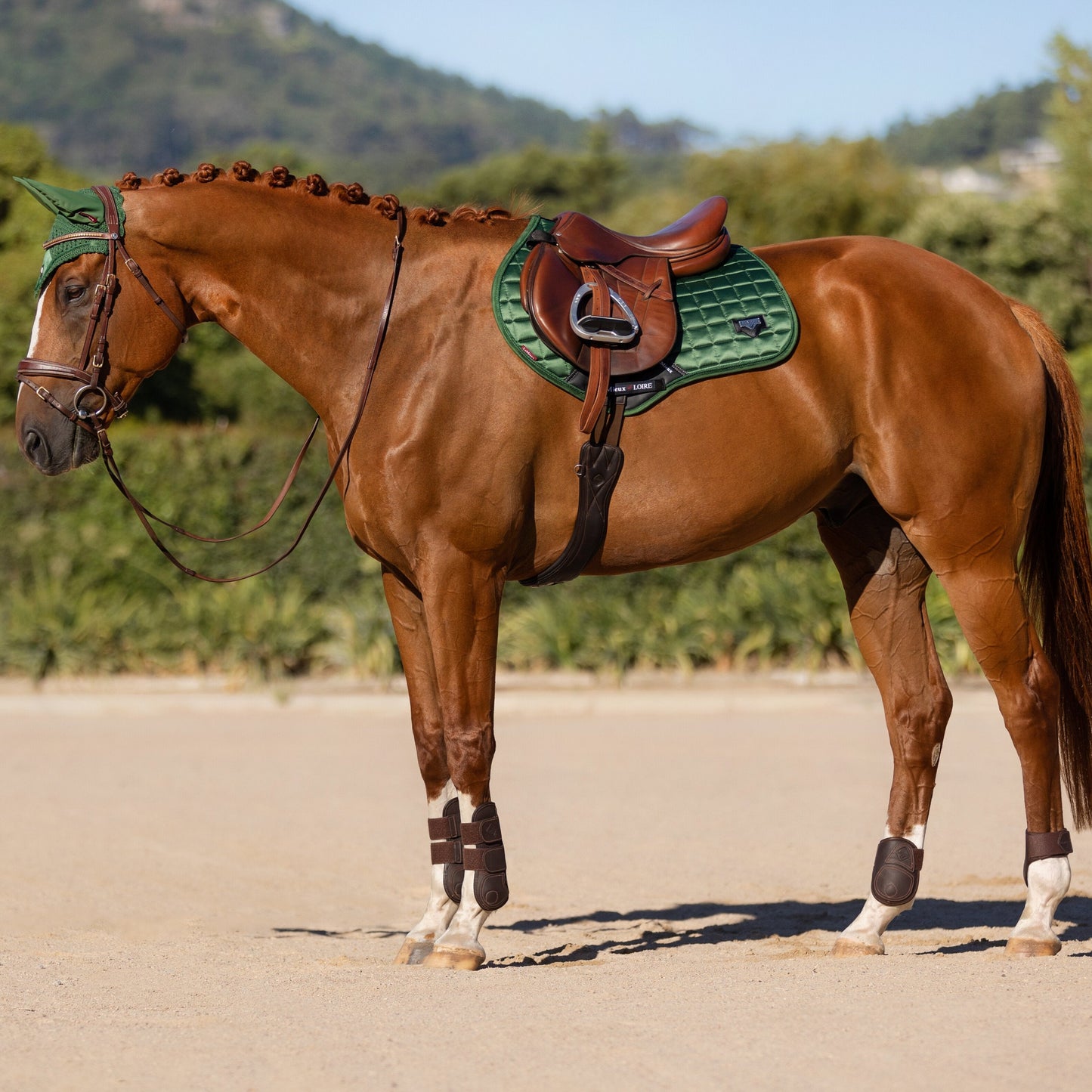 LeMieux Loire Classic Square Close Contact Saddle Pad