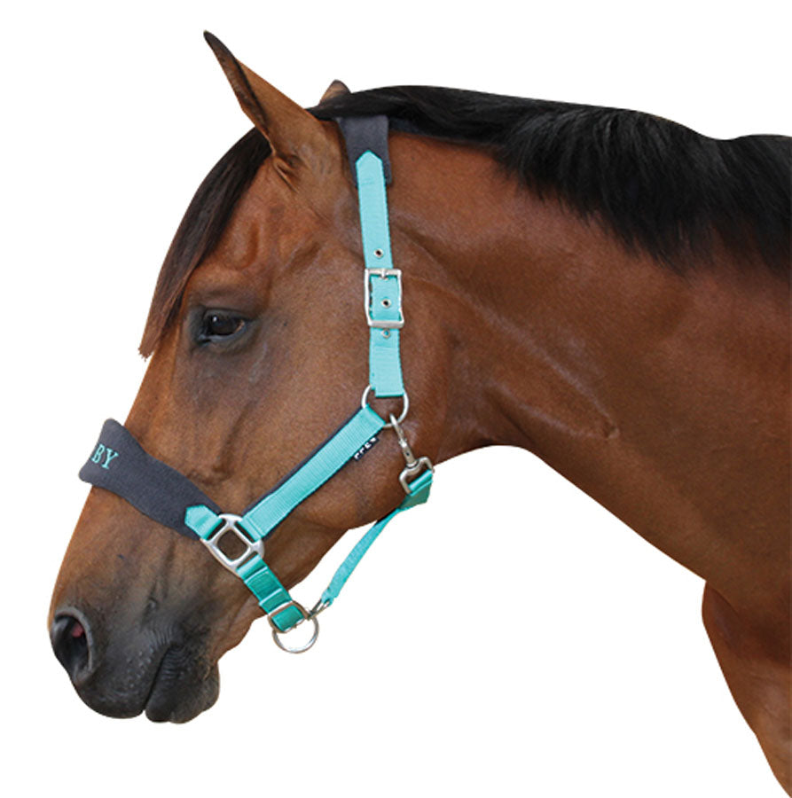 Derby Fleece Halter